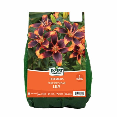 Expert Gardener Lily Forever Susan Dormant Bulbs, Set of 3, Multi-Color Perennial