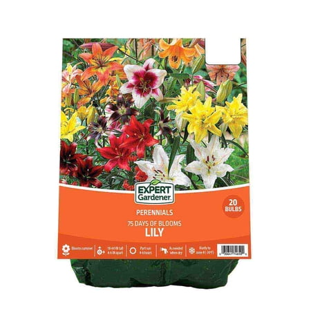 Expert Gardener Perennial Lily Mix - Multi-Color Dormant Bulbs, 75 Days of Blooms, Set of 20