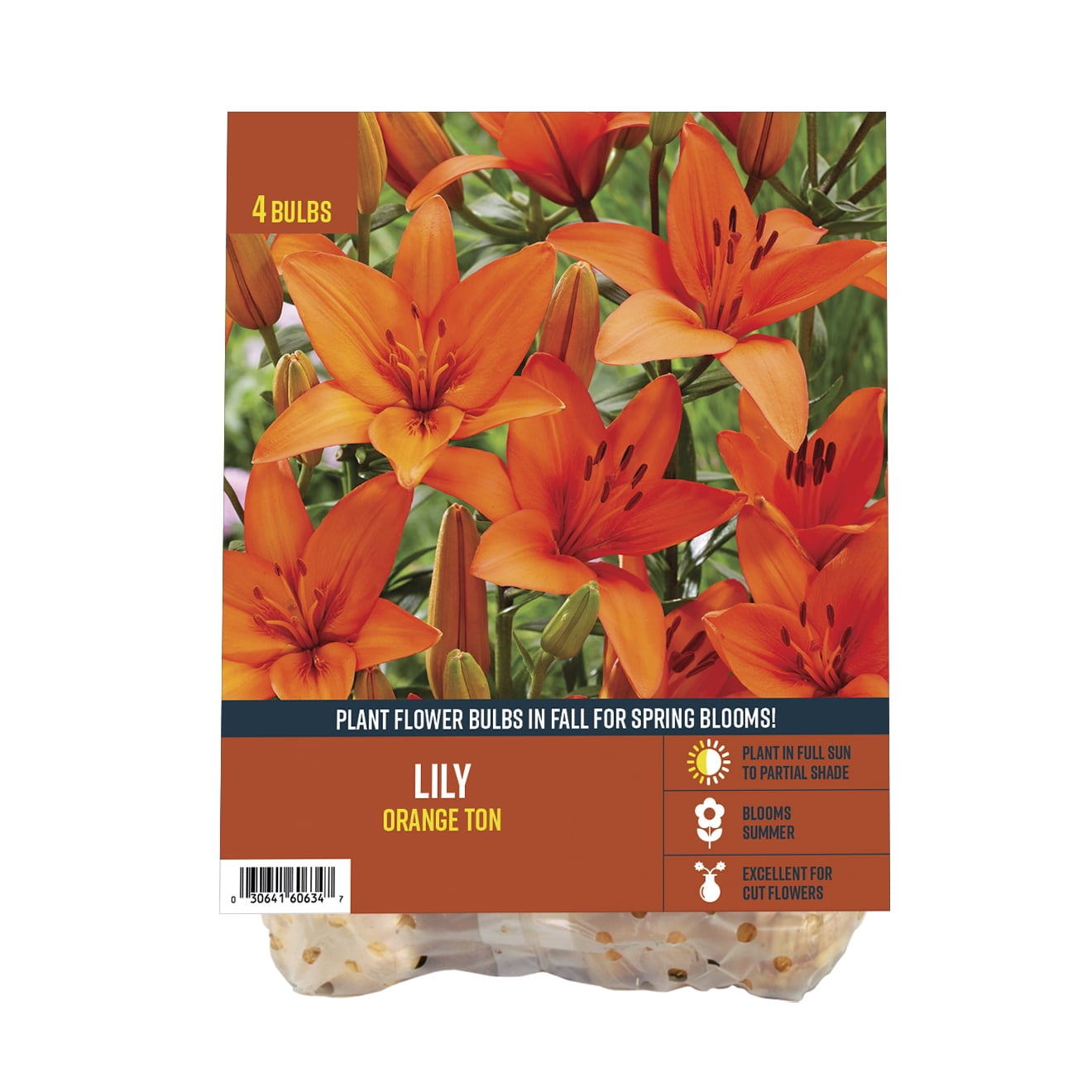Van Zyverden's Lily Orange Ton (Set of 4 Dormant Bulbs