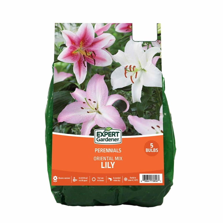Van Zyverden Lily Oriental Mix, Dormant Bulb, Partial Sun, Multi