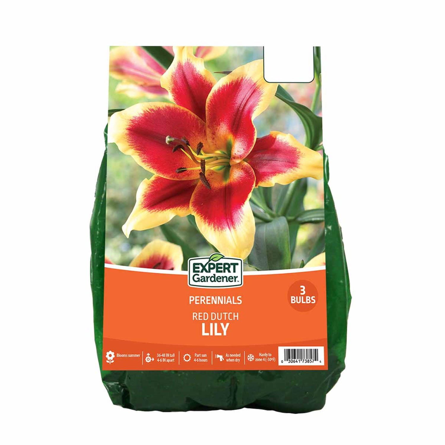 Expert Gardener Red Dutch Lily Set of 3 Dormant Bulbs Partial Sun