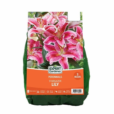 Expert Gardener Lily Stargazer Dormant Bulbs Set of 3, Red Perennial, Partial Sun