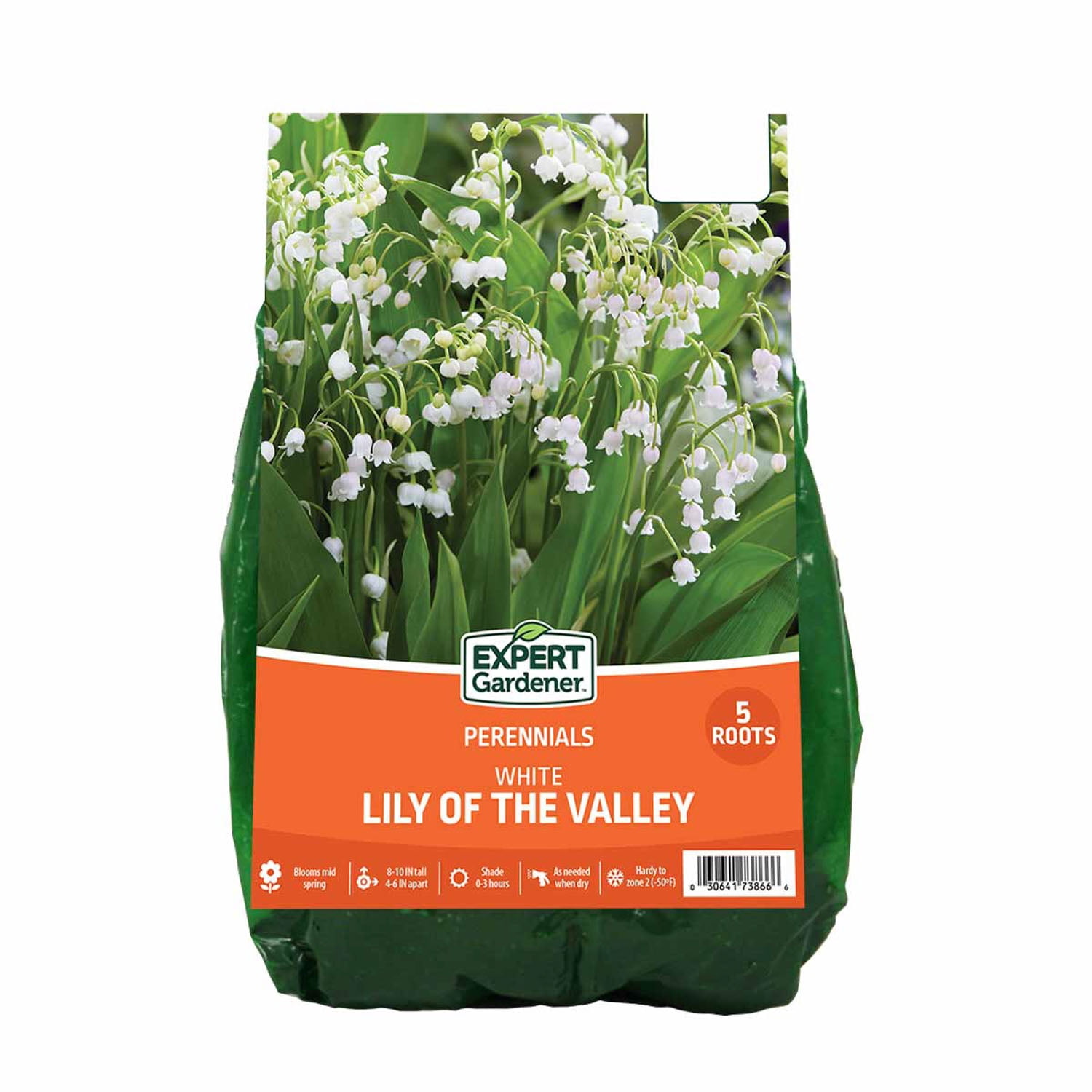 Expert Gardener Lily of the Valley White (Set of 5 Dormant Bare