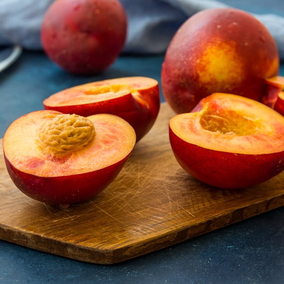 Van Zyverden Nectarine Tree June Princess 1 Plant Root Stock Pink Full Sun Perennial Edible 4 lbs