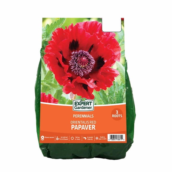 Expert Gardener Papaver Orientalis Red - Set of 3 Dormant Bare Roots, Full Sun Perennials