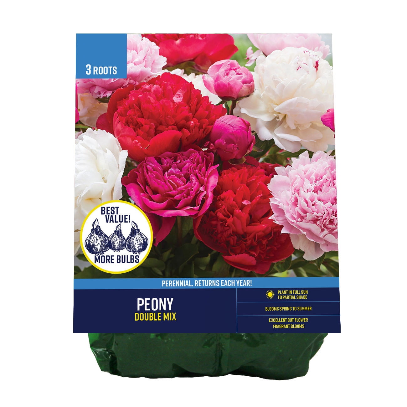 Van Zyverden Peony Double Mixed (Set of 3 Dormant Bare Roots Van Zyverden Peony Double Mixed (Set of 3 Dormant Bare Roots