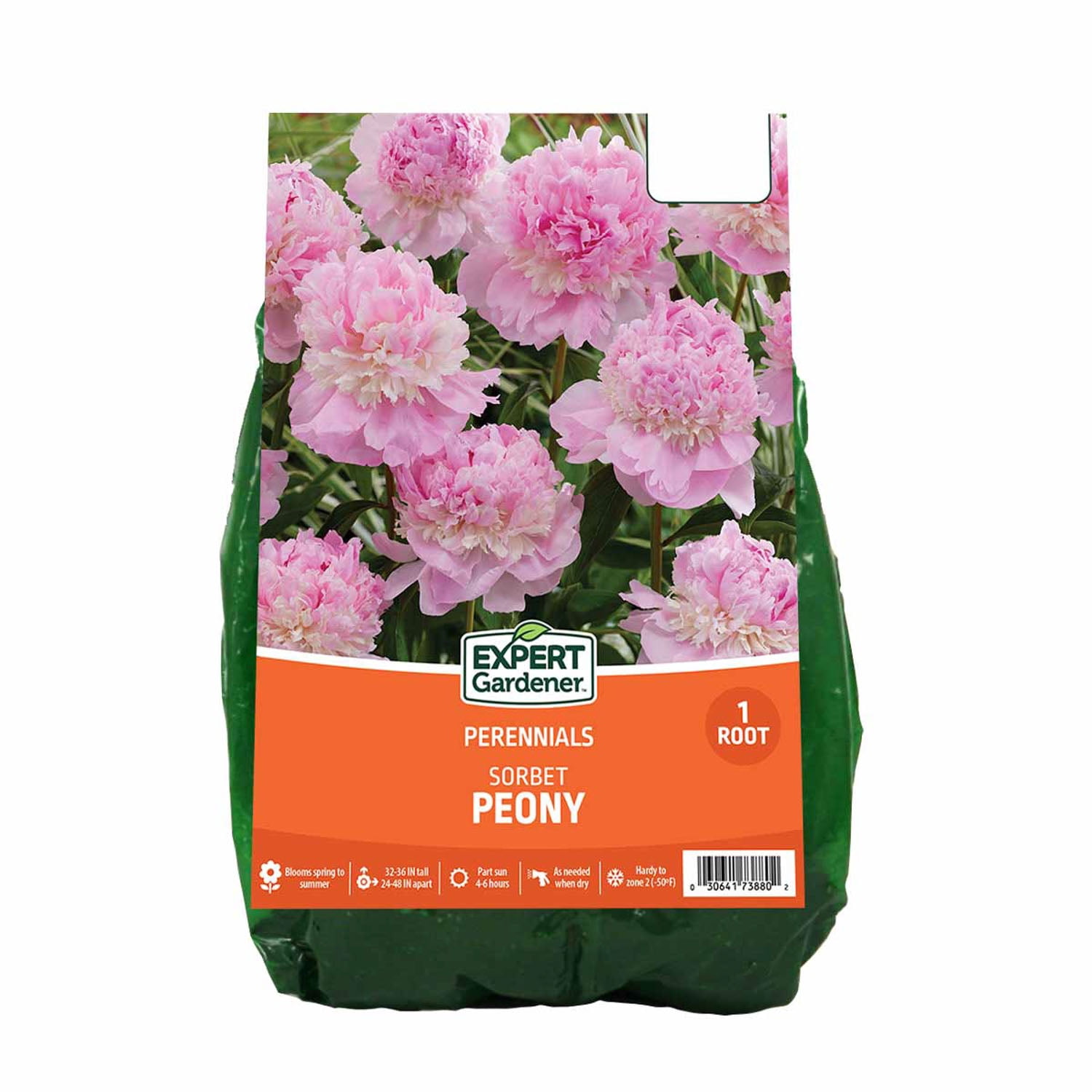 Expert Gardener Dormant Peony Sorbet Bare Root, Multi-Color Perennial