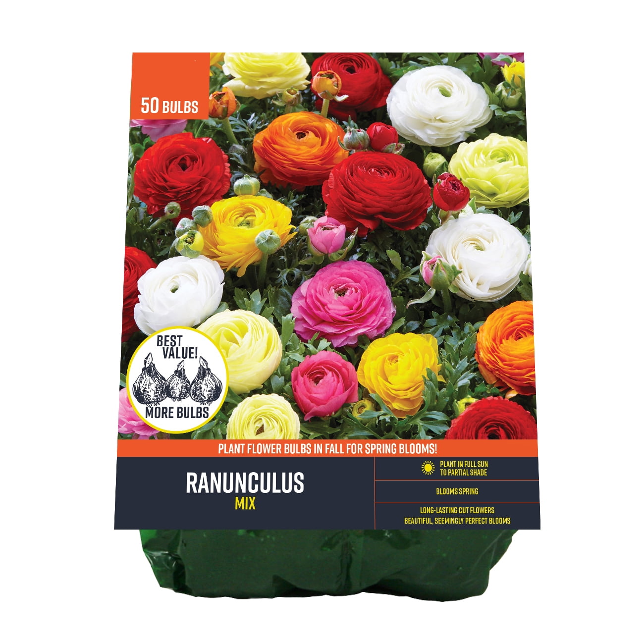 Van Zyverden's Ranunculus Mix (Set of 40 Dormant Bulbs) Full Sun ...