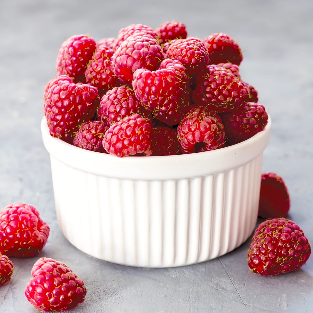 Van Zyverden Raspberry Brandywine Dormant Plant Root Full Sun, Red