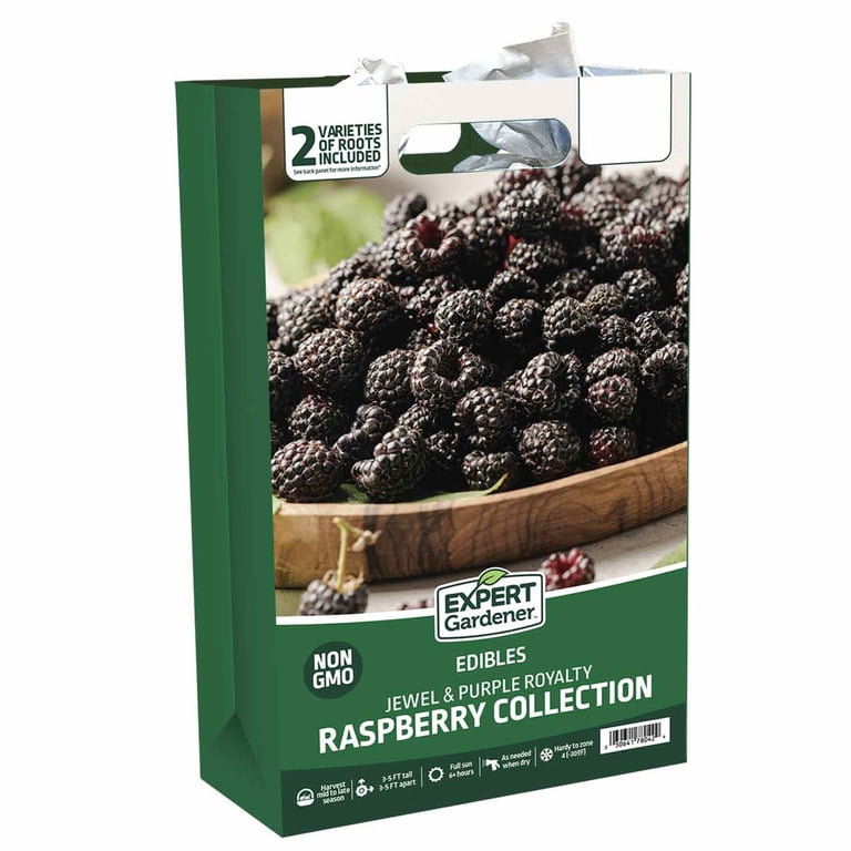 Expert Gardener Raspberry Collection #3 (Set of 2 Dormant Bare