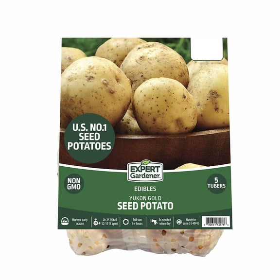 Expert Gardener Seed Potato Yukon Gold (Set of 5 Dormant Tubers) Full Sun, Yellow, Annual
