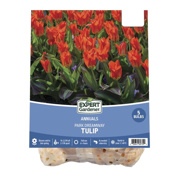 Expert Gardener Tulip Park Dreamway Plant Bulbs (5 Dormant Bulbs)