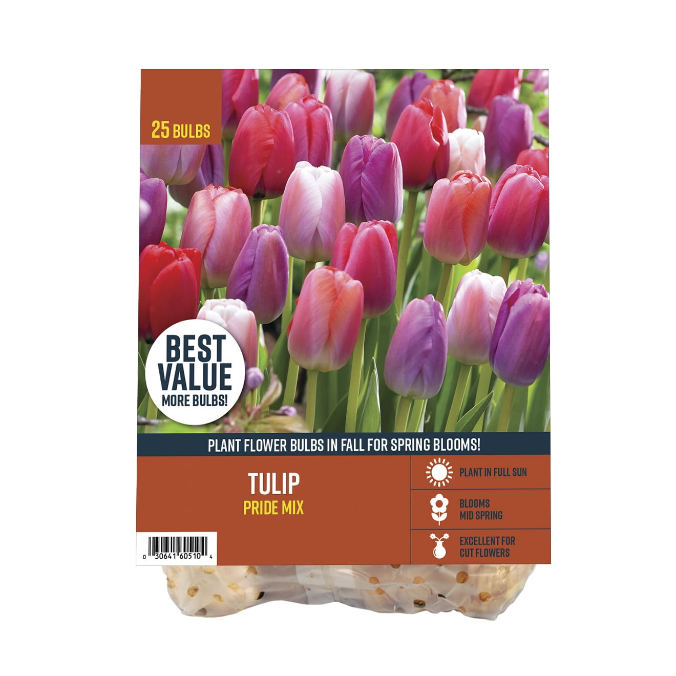 Van Zyverden's Tulip Pride Mix (Set of 25 Dormant Bulbs) Full Sun