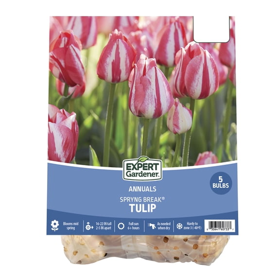 Expert Gardener Tulip Spryng® Break Plant Bulbs (5 Dormant Bulbs)