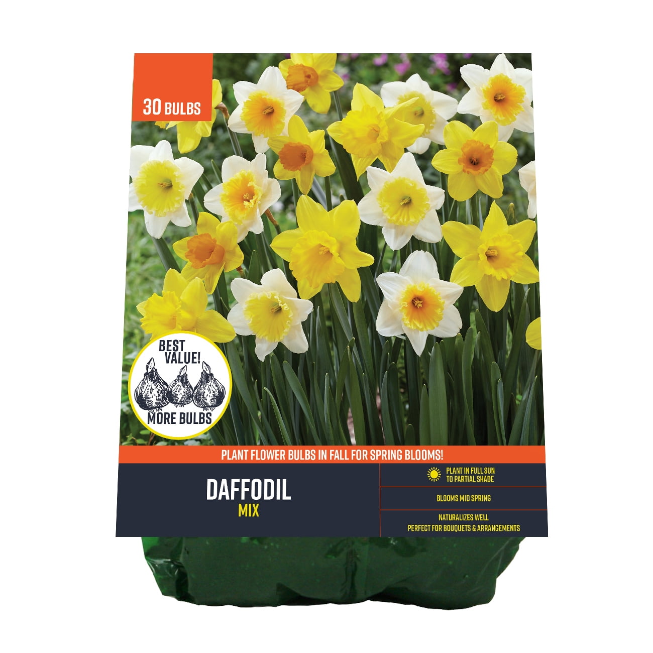 Van Zyverden Daffodil Mix (Set of 30 Dormant Bulbs) Partial Sun, Multicolor, Perennial