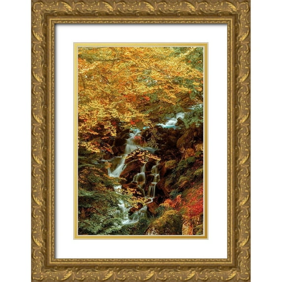 Van de Goor, Lars 11x14 Gold Ornate Wood Framed with Double Matting Museum Art Print Titled - Hidden Waterfall
