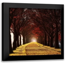 Van de Goor, Lars 12x12 Black Modern Framed Museum Art Print Titled - Wonder Curve