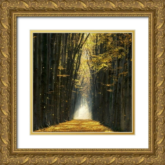 Van de Goor, Lars 12x12 Gold Ornate Wood Framed with Double Matting Museum Art Print Titled - Fall Kicks In