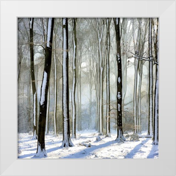 Van de Goor, Lars 12x12 White Modern Wood Framed Museum Art Print Titled - Enchanted Forest