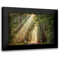thumbnail image 1 of Van de Goor, Lars 14x11 Black Modern Framed Museum Art Print Titled - This Beam is Booming, 1 of 5