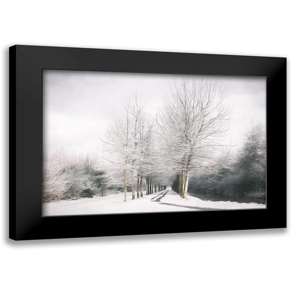 Van de Goor, Lars 14x11 Black Modern Framed Museum Art Print Titled - Winter is Here
