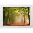 thumbnail image 1 of Van de Goor, Lars 14x11 White Modern Wood Framed Museum Art Print Titled - Dreambridge, 1 of 4