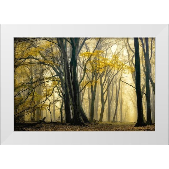 Van de Goor, Lars 14x11 White Modern Wood Framed Museum Art Print Titled - In Love with Golden Fall