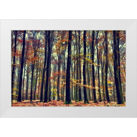 Van de Goor, Lars 14x11 White Modern Wood Framed Museum Art Print Titled - Nature’s Palette