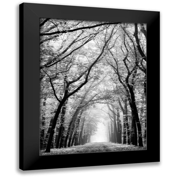Van de Goor, Lars 15x18 Black Modern Framed Museum Art Print Titled - Cathedral Forest