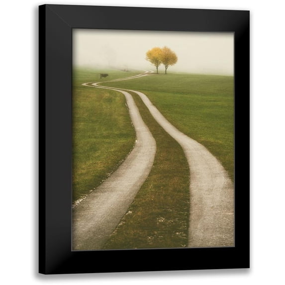 Van de Goor, Lars 17x24 Black Modern Framed Museum Art Print Titled - Winding Path
