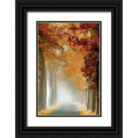 Van de Goor, Lars 17x24 Black Ornate Wood Framed with Double Matting Museum Art Print Titled - Wonder Curve