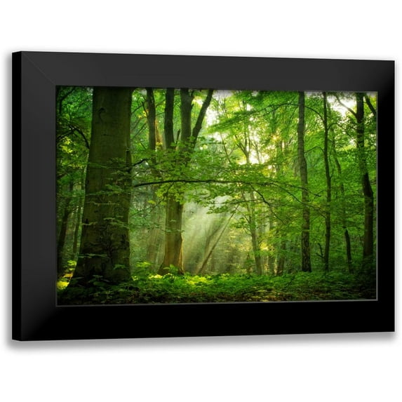 Van de Goor, Lars 18x13 Black Modern Framed Museum Art Print Titled - Breathe