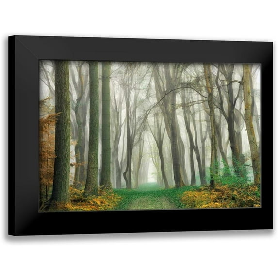 Van de Goor, Lars 18x13 Black Modern Framed Museum Art Print Titled - Magic Is Everywhere