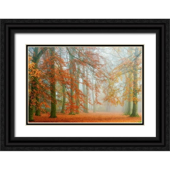 Van de Goor, Lars 18x13 Black Ornate Wood Framed with Double Matting Museum Art Print Titled - Autumn Mist