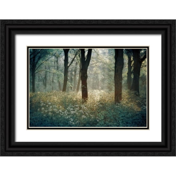 Van de Goor, Lars 18x13 Black Ornate Wood Framed with Double Matting Museum Art Print Titled - Foret De