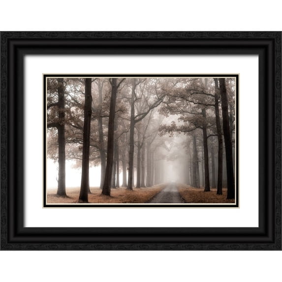 Van de Goor, Lars 18x13 Black Ornate Wood Framed with Double Matting Museum Art Print Titled - Misty Road