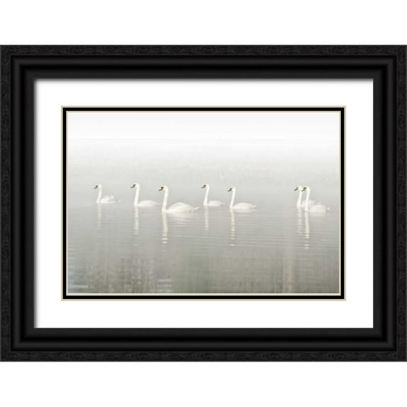 Van de Goor, Lars 18x13 Black Ornate Wood Framed with Double Matting Museum Art Print Titled - Seven Swans