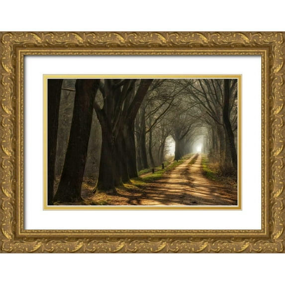 Van de Goor, Lars 18x13 Gold Ornate Wood Framed with Double Matting Museum Art Print Titled - Paths
