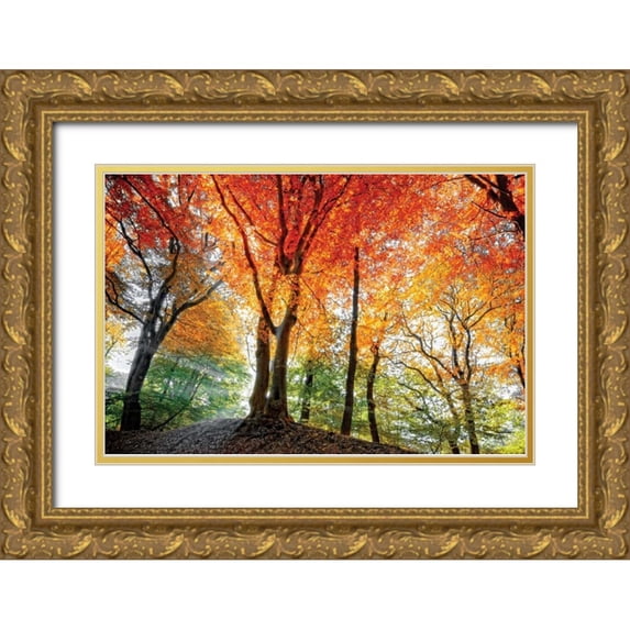Van de Goor, Lars 18x13 Gold Ornate Wood Framed with Double Matting Museum Art Print Titled - Prism of Light