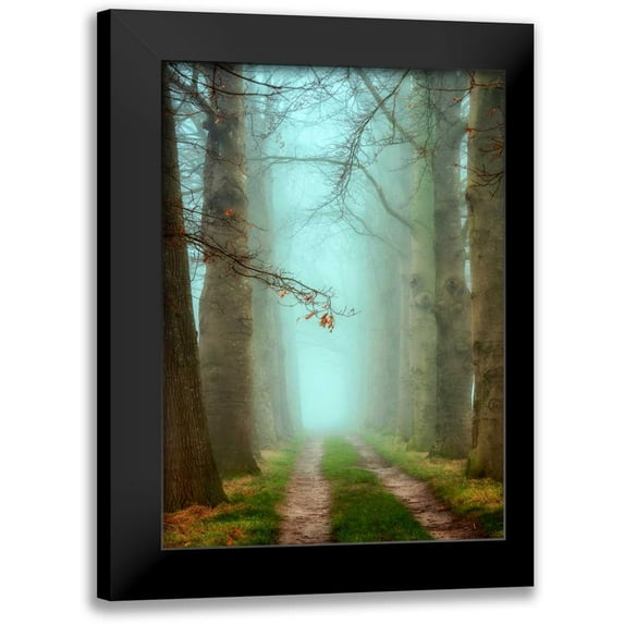 Van de Goor, Lars 18x24 Black Modern Framed Museum Art Print Titled - Blue Mist