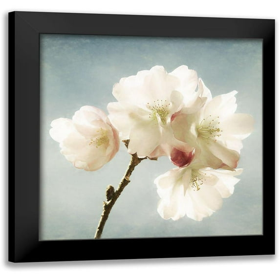 Van de Goor, Lars 20x20 Black Modern Framed Museum Art Print Titled - Happy Spring