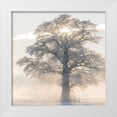 thumbnail image 1 of Van de Goor, Lars 20x20 White Modern Wood Framed Museum Art Print Titled - Winter King, 1 of 4