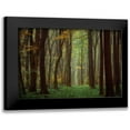 thumbnail image 1 of Van de Goor, Lars 24x17 Black Modern Framed Museum Art Print Titled - Arriving Nowhere, 1 of 5