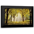 thumbnail image 1 of Van de Goor, Lars 24x17 Black Modern Framed Museum Art Print Titled - Dressed To, 1 of 5