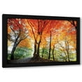 thumbnail image 1 of Lars Van de Goor 24x17 Black Modern Wood Framed Wall Art Titled - Prism of Light, 1 of 6