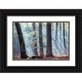 thumbnail image 1 of Van de Goor, Lars 24x17 Black Ornate Wood Framed with Double Matting Museum Art Print Titled - Spellbound, 1 of 4