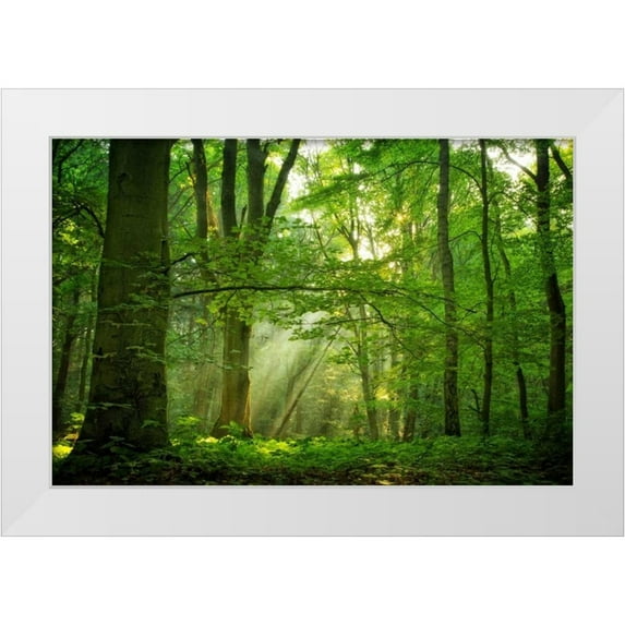 Van de Goor, Lars 24x17 White Modern Wood Framed Museum Art Print Titled - Breathe