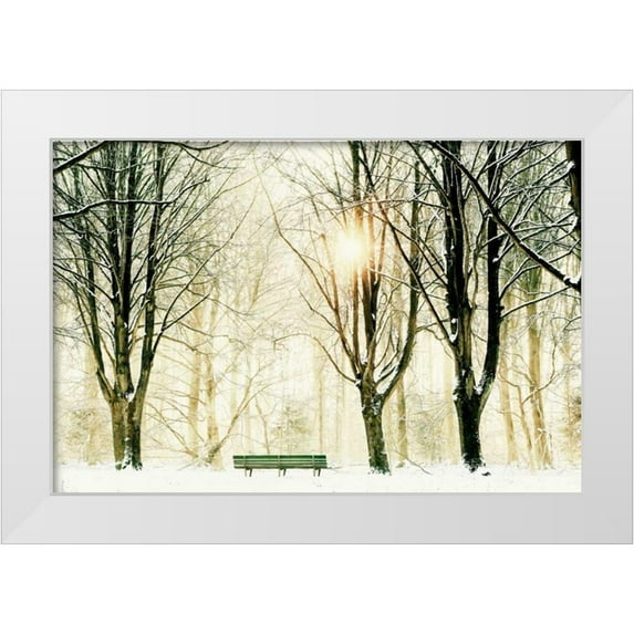Van de Goor, Lars 24x17 White Modern Wood Framed Museum Art Print Titled - Too Cold To Sit
