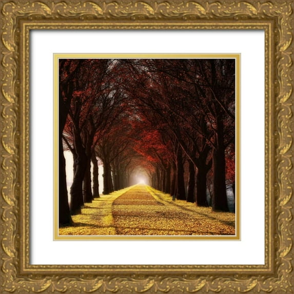 Van de Goor, Lars 26x26 Gold Ornate Wood Framed with Double Matting Museum Art Print Titled - Wonder Curve