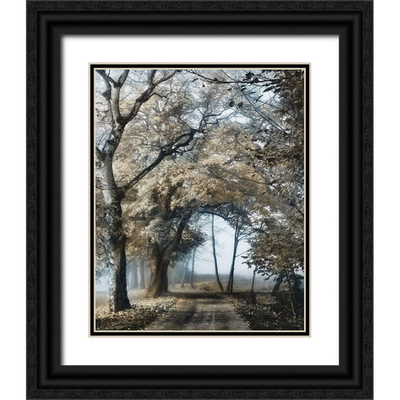 Van de Goor, Lars 26x32 Black Ornate Wood Framed with Double Matting Museum Art Print Titled - Road to Tomorrow